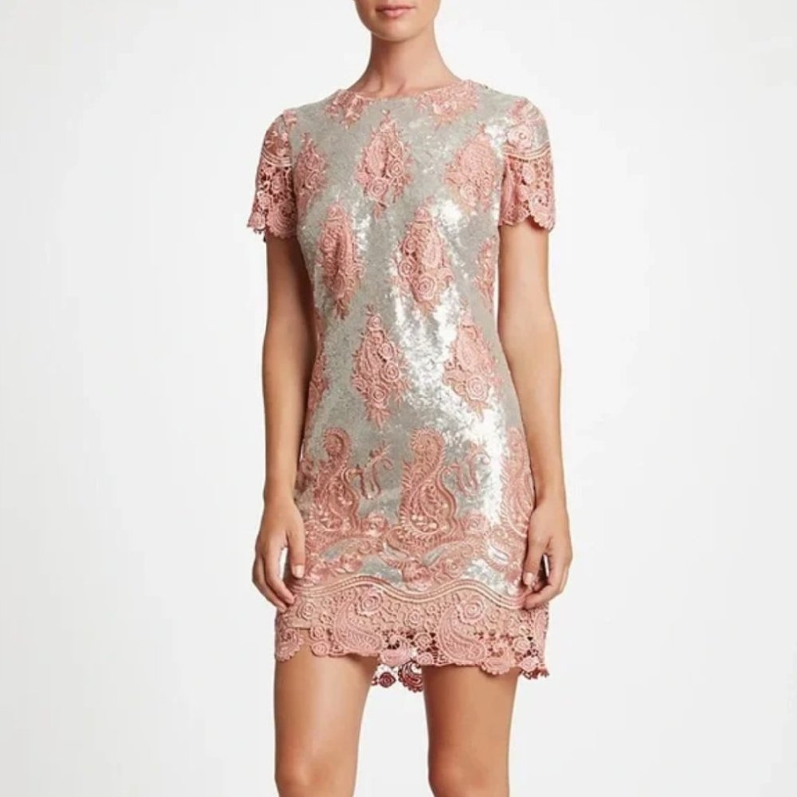 Dress The Population Joy Sequin Lace Dress Silver Pink {3j4}